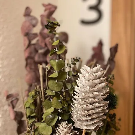 Daire Augl's Hof Ischgl