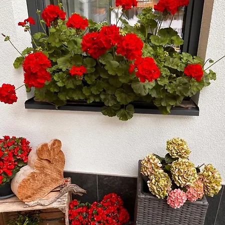 Augl's Hof * אישגל