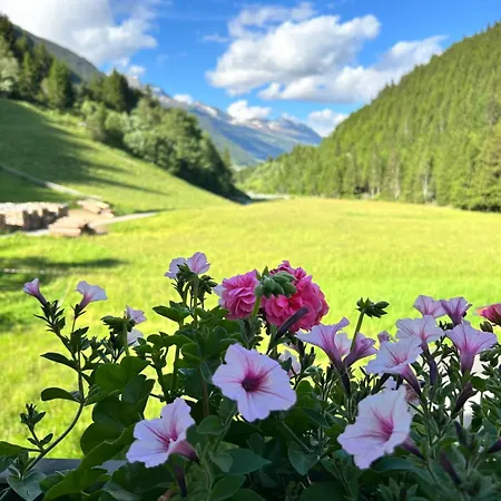 Daire Augl's Hof Ischgl