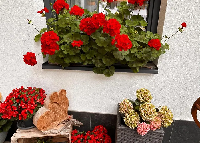 Augl's Hof * אישגל